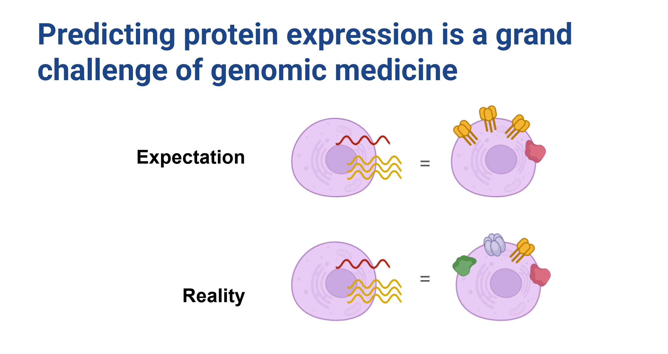 Title: predicting protein expression is a grand challenge of genomic medicine. Shows a playful diagram showing expectation, a cell with similar transcripts and surface protein abundance vs reality, a cell with the same transcription, but a mix of all sorts of proteins present