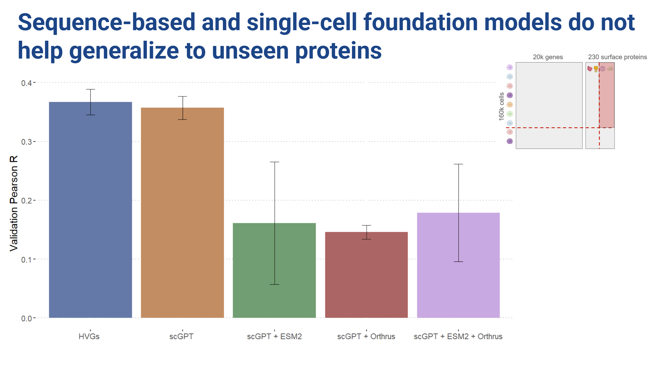 Title: sequence-based foundation models do not help generalize to unseen proteins. Barplot of validation pearsons R. HVGs and scGPT have similar value around 0.37, scGPT+ESM2, scGPT+Orthrus, scGPT+ESM2+Orthrus have similar mean value around 0.15. Bars with EMS2 have larger error than the rest, ranging from 0.05 to 0.25